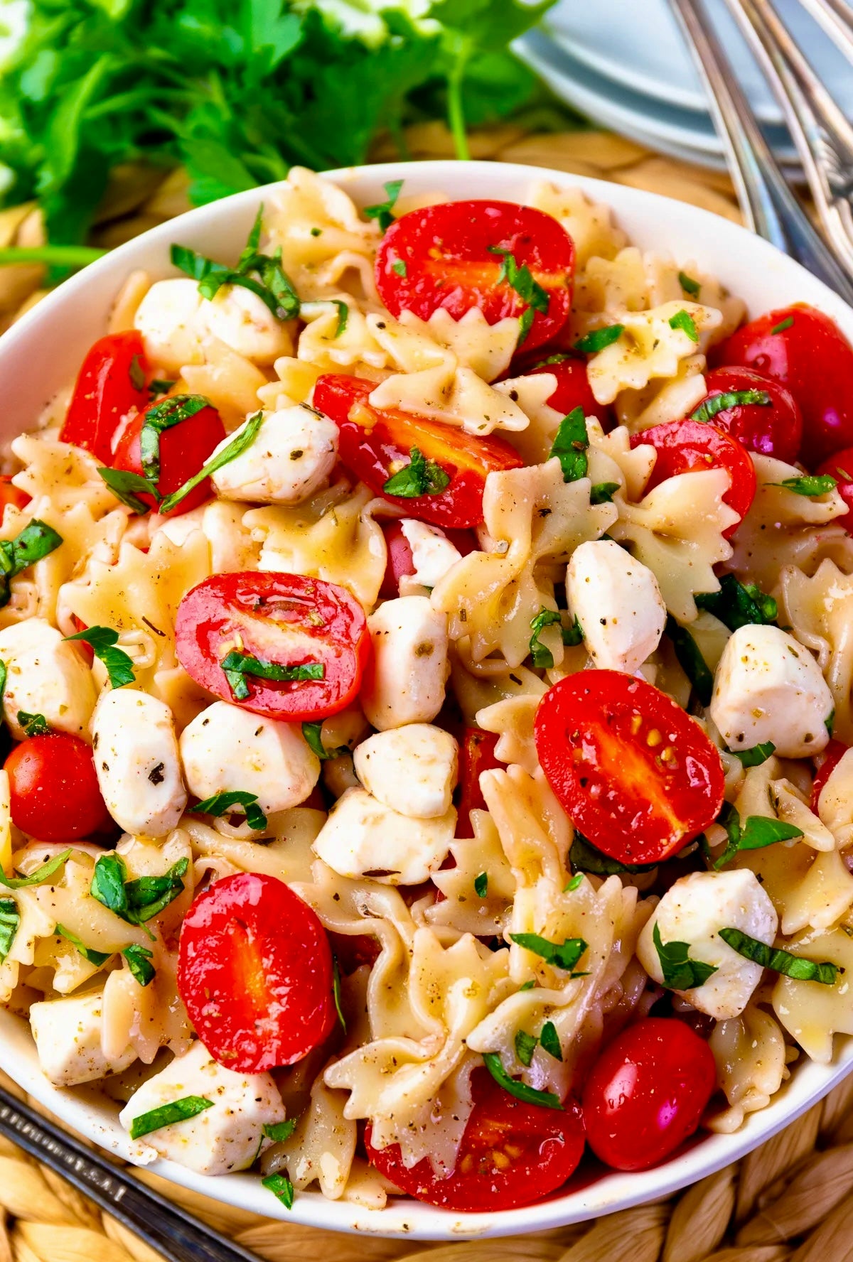 Pasta Salad with Fresh Mozz and Tomatoes by the Pound