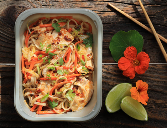 Spicy Udon Noodles with Grilled Chicken